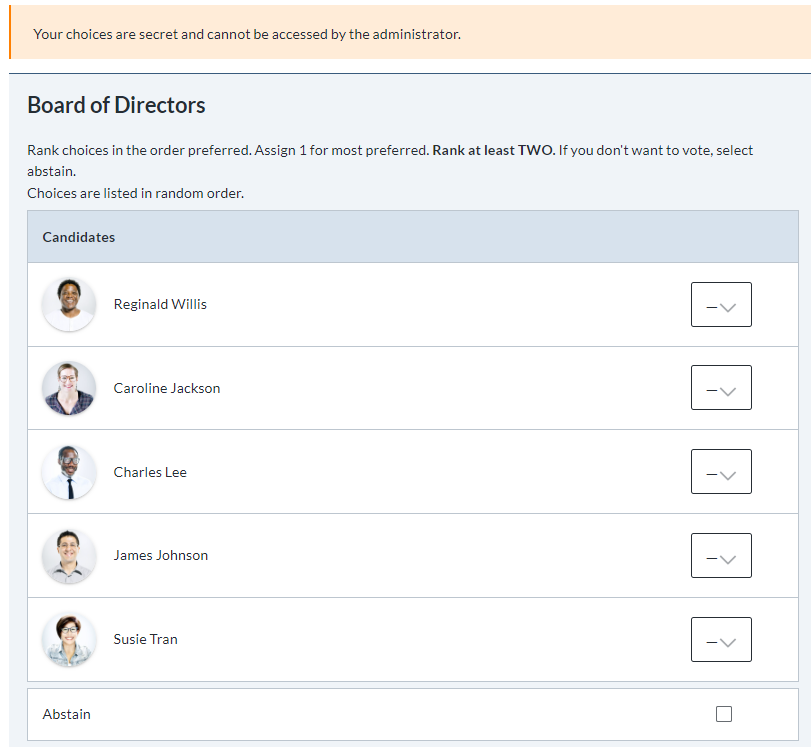 Board of directors example ballot using preferential voting with ElectionBuddy.